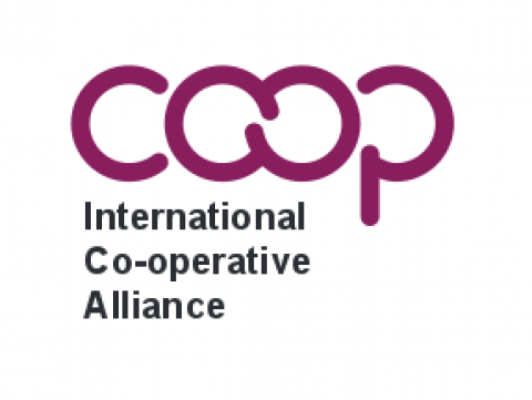 La cooperative comme forme de gouvernance pour renforcer la résilience face à la complexité