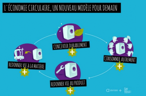 Tout savoir de l'économie circulaire grâce à quatre publications