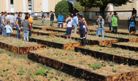 Les bienfaits du potager urbain au centre d'hébergement des Tattes à Vernier