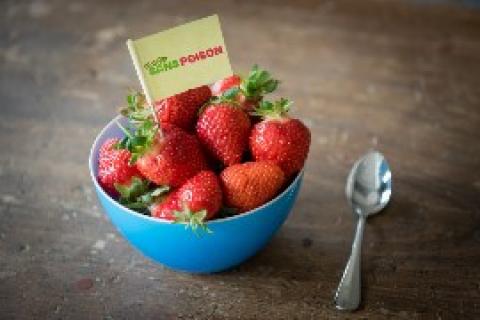 Méfiez-vous des fraises de nos supermarchés !