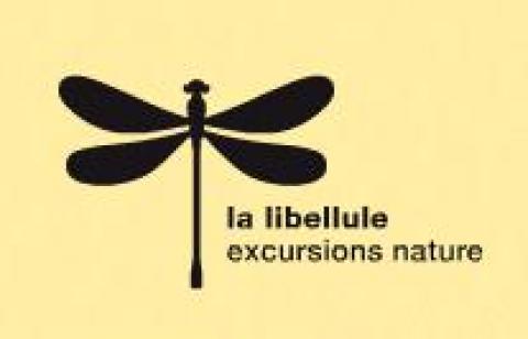 Partez en excursion surprise avec La Libellule
