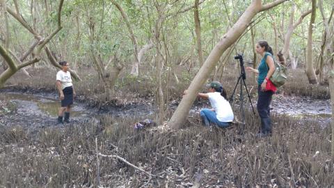 Crowdfunding en faveur de la protection de l'environnement au Salvador