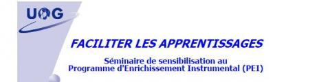 Formation "Le Programme d’Enrichissement Instrumental"