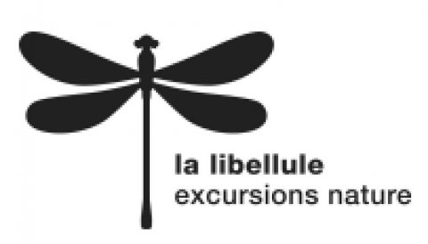 Les nouveaux programmes de lalibellule.ch