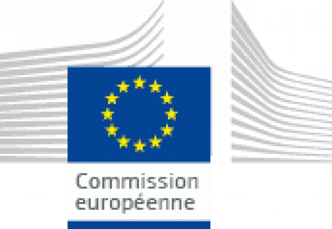 Le programme de travail du Groupe d'experts de la Commission européenne sur l'entrepreneuriat social (GECES)