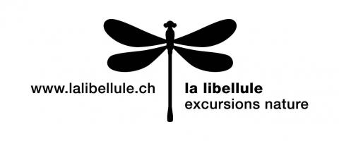 Découvrez les nouveaux programmes de la Libellule!