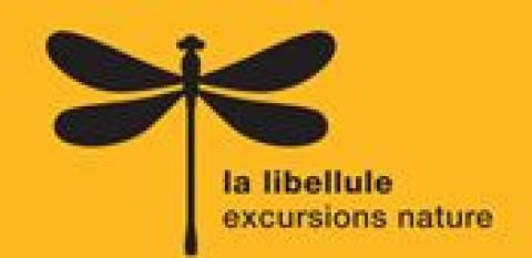 Nouveaux programmes des excursions et du centre nature - Association la Libellule