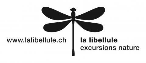 Association la libellule - excursions nature