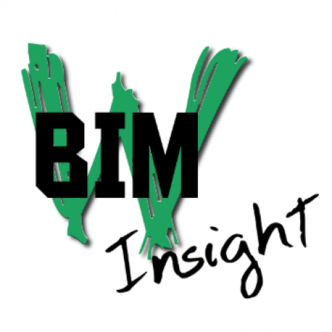 Cyril Waechter BIM Insight