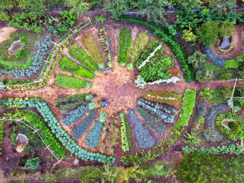 Formation: introduction à la permaculture