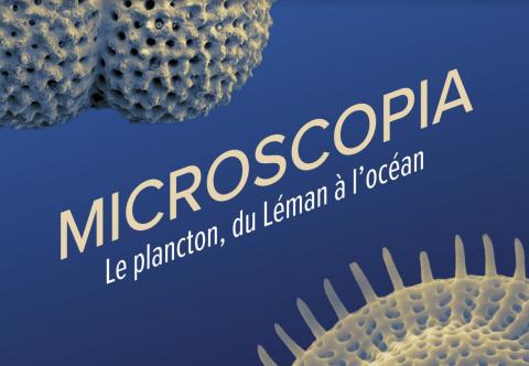 Exposition "Microscopia" | Atelier « À la découverte du monde invisible du Léman » de l'Association pour la Sauvegarde du Léman