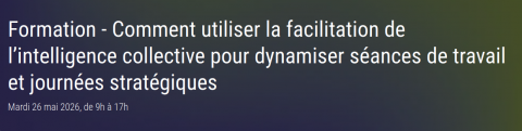 Formation - Comment utiliser la facilitation de l’intelligence collective pour dynamiser séances de travail et journées stratégiques 