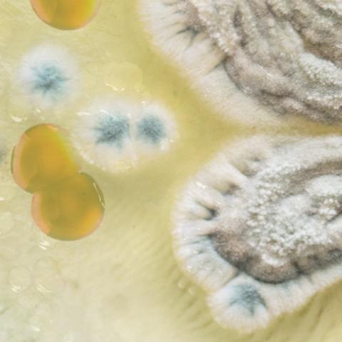  Pratiques culturelles en transition