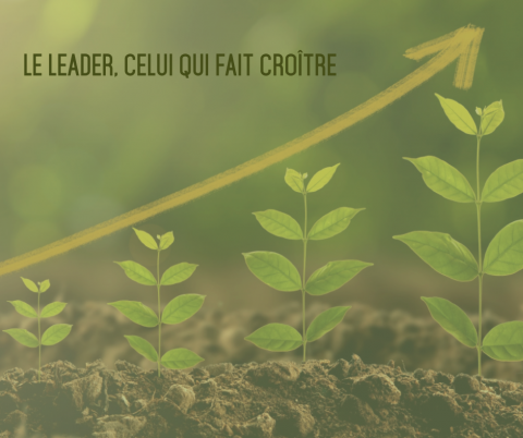 Atelier : Le leader, celui qui fait croître