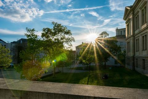 Université d’été : transition vers un commun coopératif