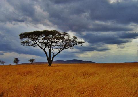 Pharmaciens Sans Frontières Suisse recherche un.e volontaire pour sa mission en Tanzanie!