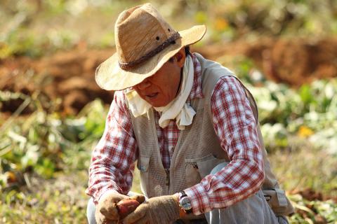 La filière Nord-Nord commence à se structurer en France