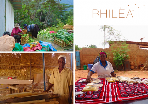 Le FIG (Fonds International de Garantie) devient Philea! 