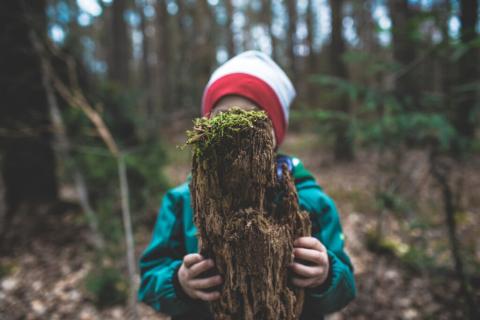 Les enfants ont droit à un environnement propre et sain, affirme un comité de l’ONU