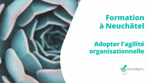 FORMATION - Adopter l’agilité organisationnelle 5 et 6 février 2024 à Neuchâtel - 20% offerts aux membres d'APRÈS