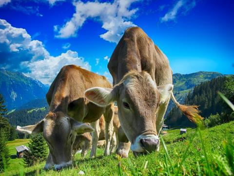 Pour une politique agricole de la qualité