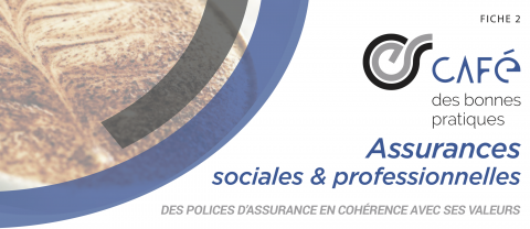 Assurances sociales et professionnelles - Fiche synthétique & Capsule vidéo