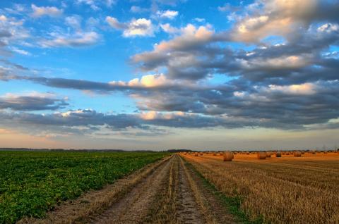 Une perte importante de la production mondiale de nourriture entre les producteurs et la consommation finale