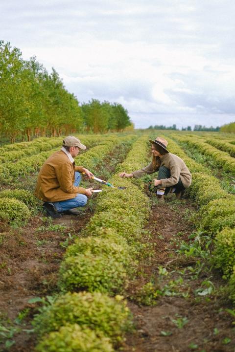 Les principes de la permaculture : 22 fondamentaux pour vivre autrement - Article de PositiVR