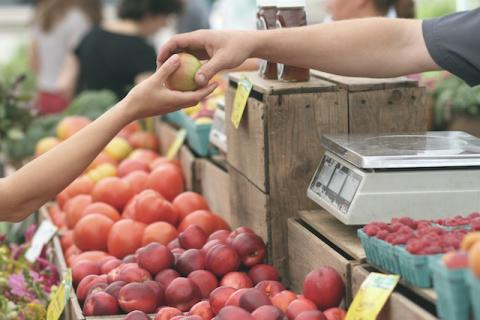 [ALTERNATIVE] "Pour accompagner leur désertion, le revenu de transition écologique " - article de Reporterre