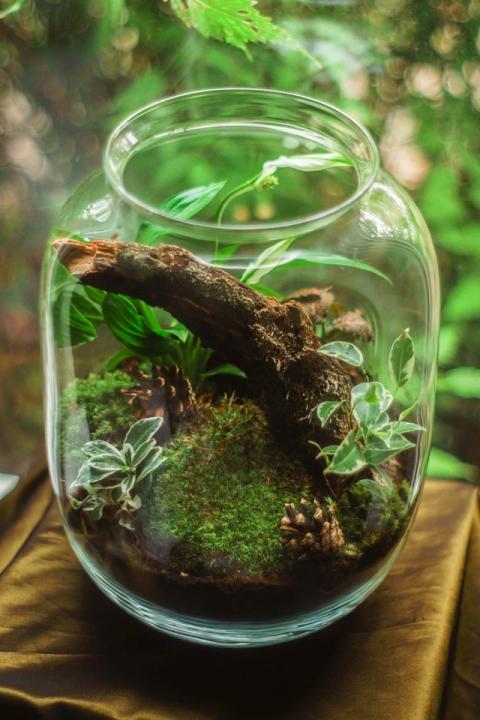 " 17 personnalités appellent le futur gouvernement à se former sur l'écologie " - article de Novethic
