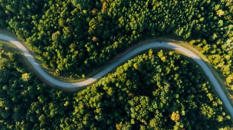  [QUIZ] Tester mes connaissances en matière de biodversité