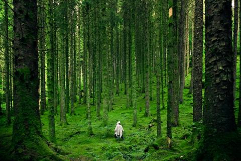 L’activisme climatique est bon pour la santé - article de la Fondation David Suzuki