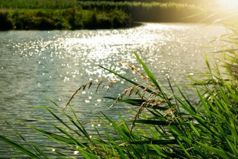 " La rivière du Foron reprend ses aises " - article du Courrier