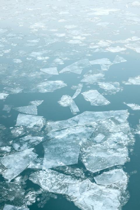 Le climat, mère de toutes les batailles - Article de René Longet dans la Tribune de Genève