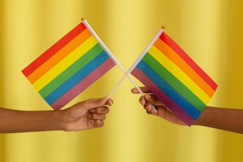 "Devenir « rôle modèle » LGBTQ+ en entreprise : une initiative pour briser les tabous" - Article de PositiVR