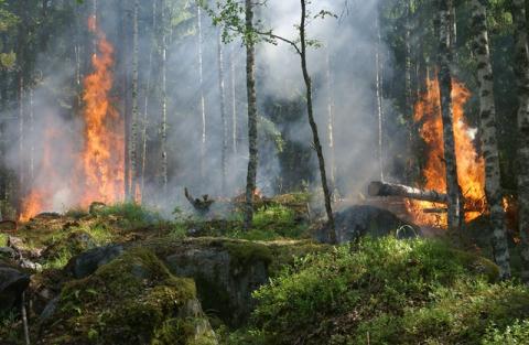 Réchauffement climatique : un monde à +2°C n'est déjà plus assurable - Article de Novethic