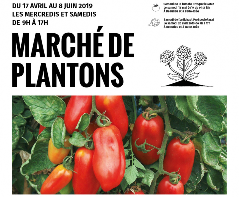 Catalogue 2019 | Semences de Pays et Artichauts