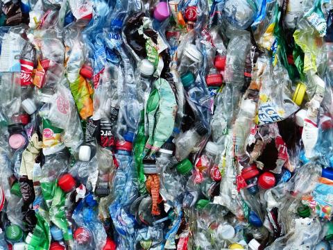 Quand la lutte contre le plastique devient un business florissant