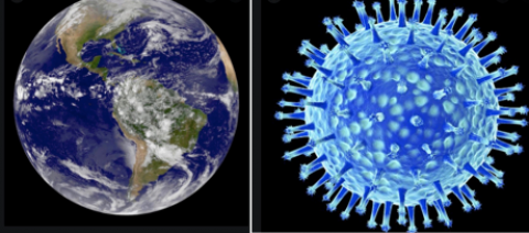Le petit virus qui change le monde - article de René Longet