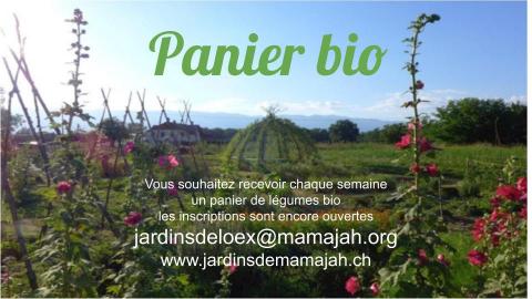 Les paniers bio des jardins de Mamajah sont de retour !