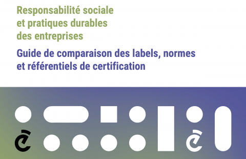GUIDE PRATIQUE - Responsabilité sociale et pratiques durables des entreprises